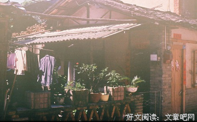 害怕跟别人进行社交，怎么办？