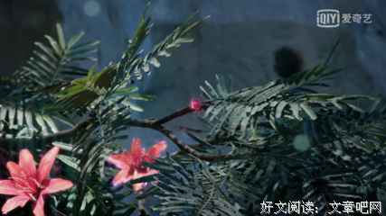 婚姻里的算计