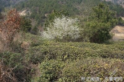  同事间不宜透露的五个信息，谁说谁倒霉，别抱侥幸心理