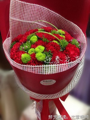 迎春花开——母亲节纪念母亲