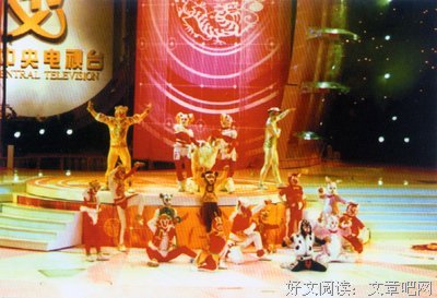 中国最后的武林：塔沟武校