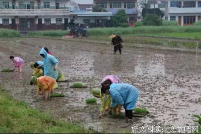 父亲与农事
