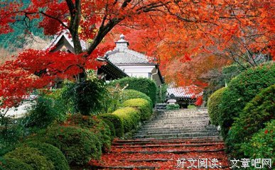 最远的路与最近的路