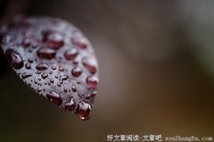 生活絮语（3）