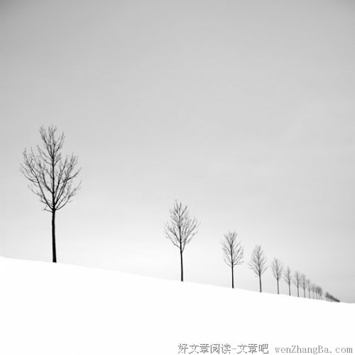 生活絮语（26）