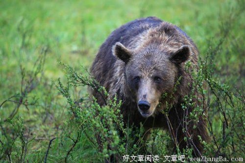 生活絮语（28）