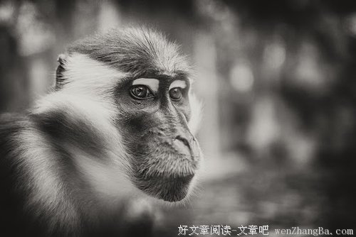 人活着究竟有没有命运？
