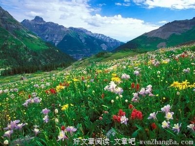 直叹人生苦难
