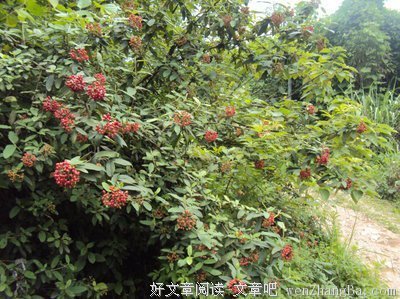 这个世界也是静的