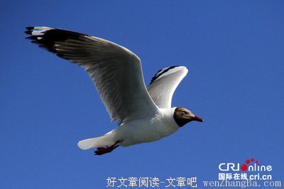 让世人多一分艳羡的目光