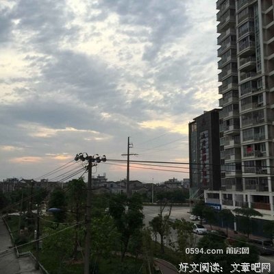 日子就这样一天天过去