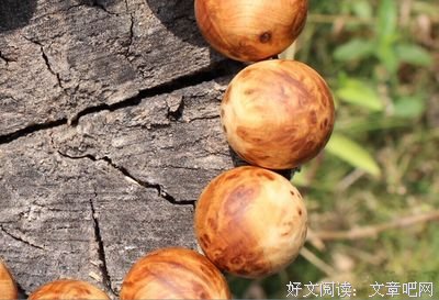 给时间一点时间，再结一次疤