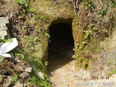 美丽的山居