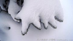 走到这才发现天如此蓝