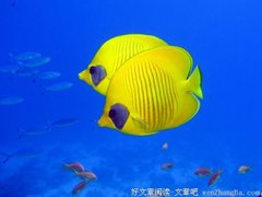 听属于我们的歌