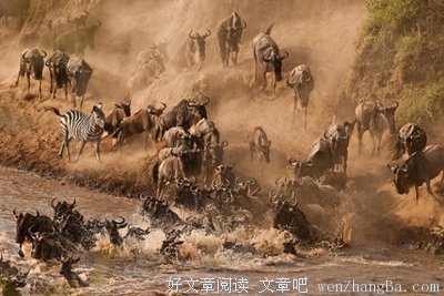 等老了就体会到