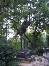 夜色里走来又走去