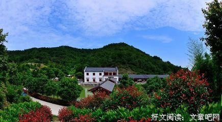 农村的生活原来也能这般精致