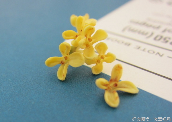 记忆中的米蒿蒿