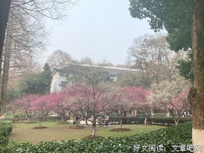 我更多的时间