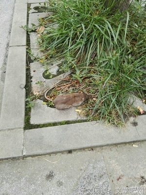 生活还要继续，我还要继续努力