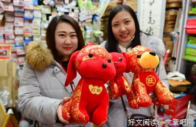 难以做出选择的狗
