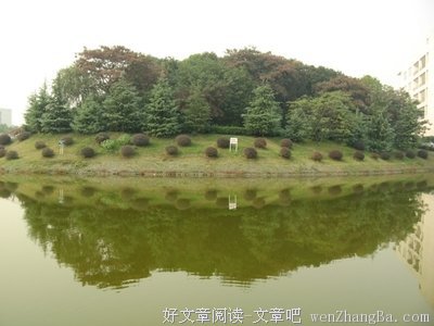 偏偏忙忘了当时的约定