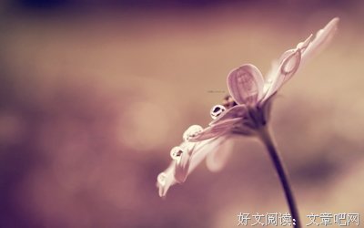 过好每一天，就是完美人生