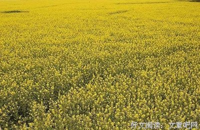 让自己像阳光一样灿烂