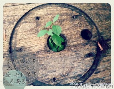 我们的生活好像总是在远方