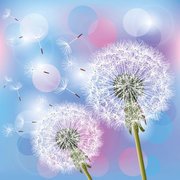 春来春去