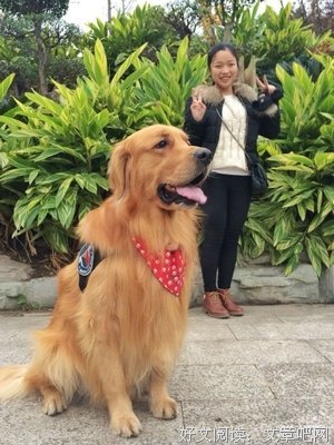能有个温柔善良的美女子相伴