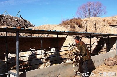 告别一种生活