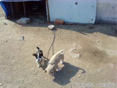 旅途上邂逅的普通人