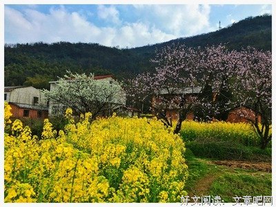 岁月沉淀的色彩