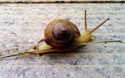 一步一步向前爬