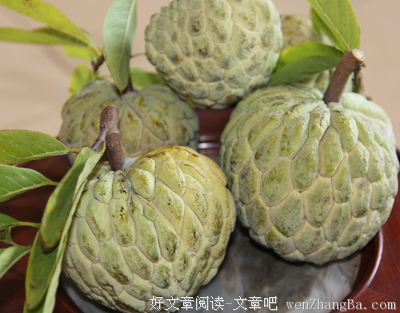 这绿色，带给人生命的力量