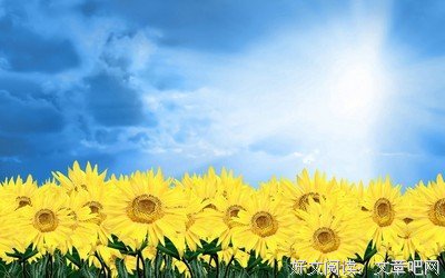 仰望蓝天亦是一种幸福