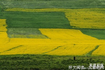 站在那个季节里用心去感受