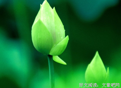 进入一个飘渺的境界