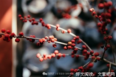 寻找属于自己一个人的世界