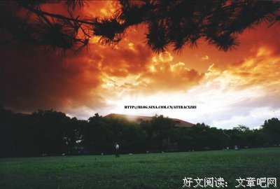 老同学，想你