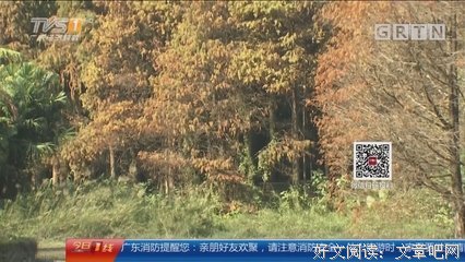 红叶落了遍地