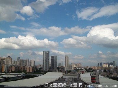 今天好天气哦