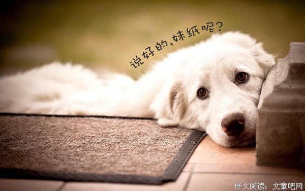 于是，继续单身