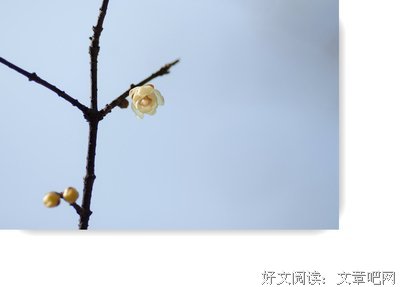 这个月我躺得太多