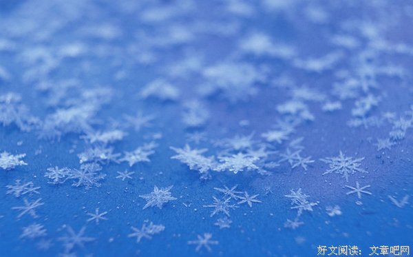 天上纷扬着洁白的雪花
