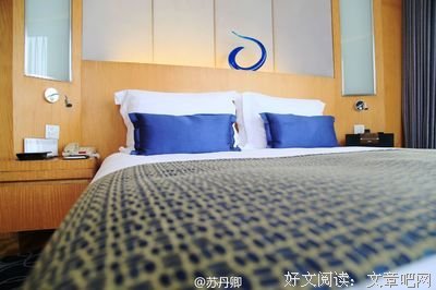 那些本可以去在意的事儿