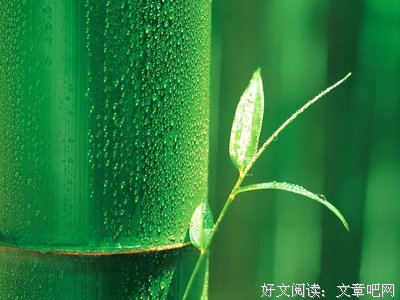 是不是一种奇迹？