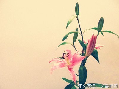 那正是岁月的痕迹